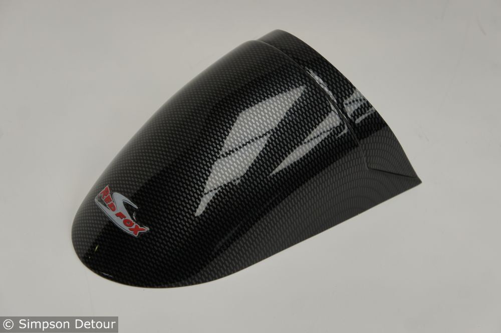 Kawasaki ER-5 Fender Flicks