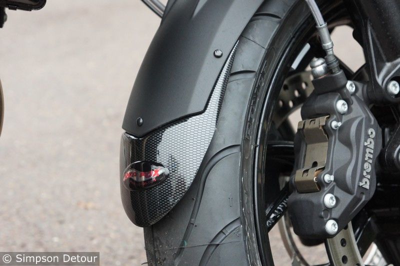 BMW F800 ST Fender Flicks