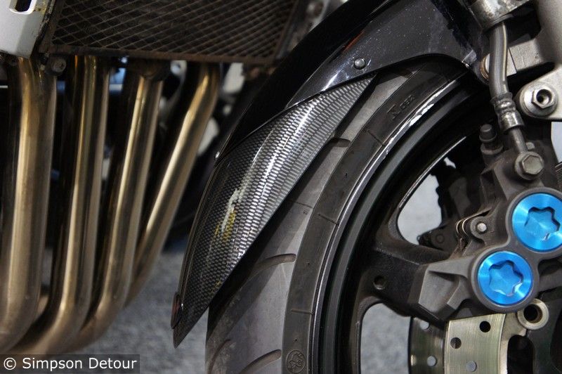 Yamaha FZS1000 Fazer Fender Flicks