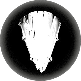 Suzuki GSXR600 / 750 96>99 Screens