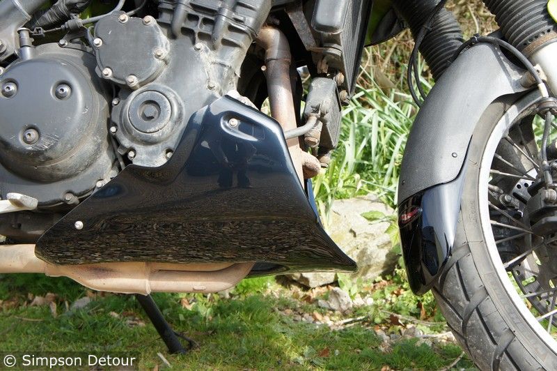 Triumph Tiger 955 00>03 Belly Pans